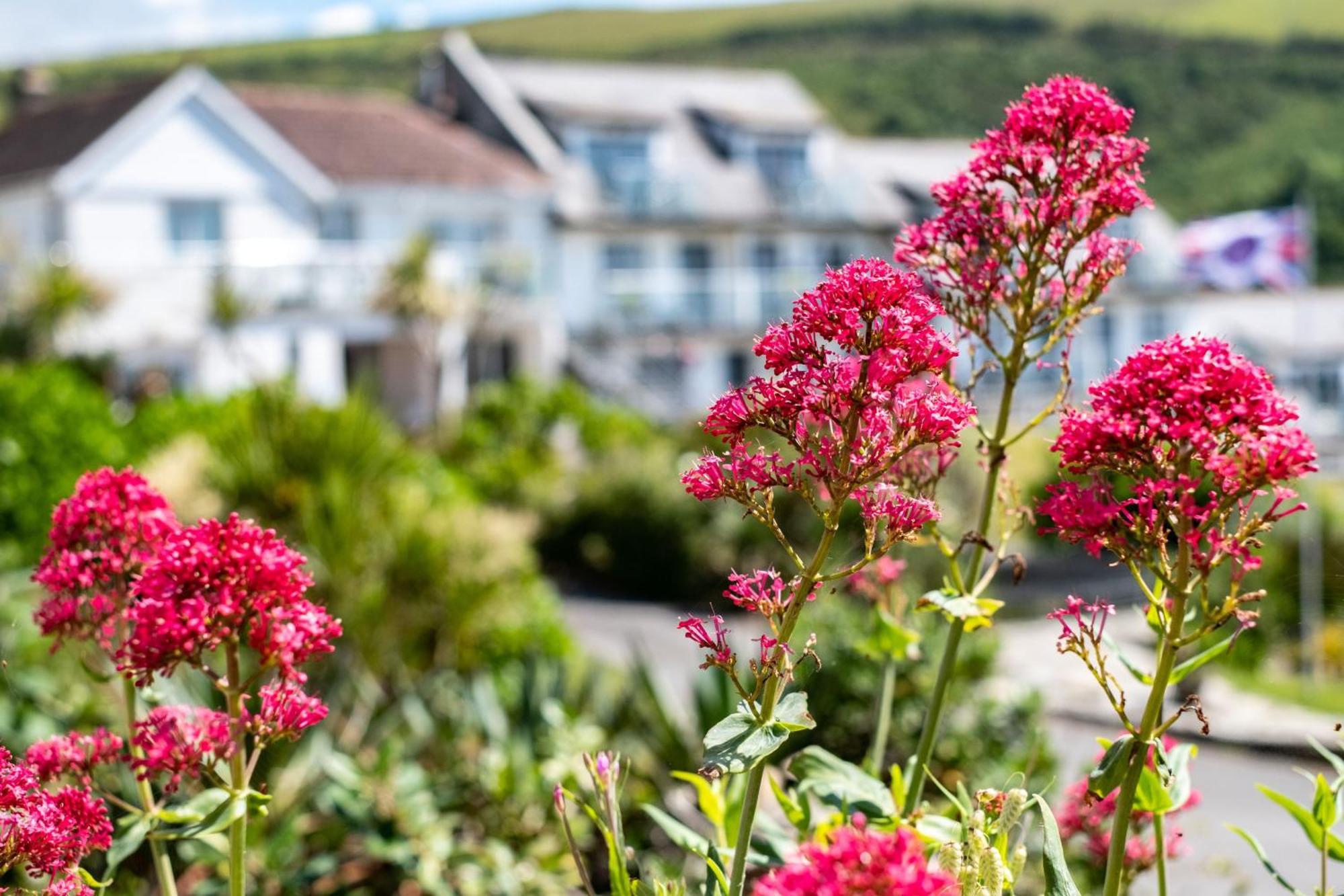 Breakers - Mount Brioni * Downderry (Cornwall)